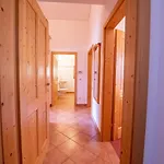 Am Edelweissanger Haus A 7 Daire Konigsleiten